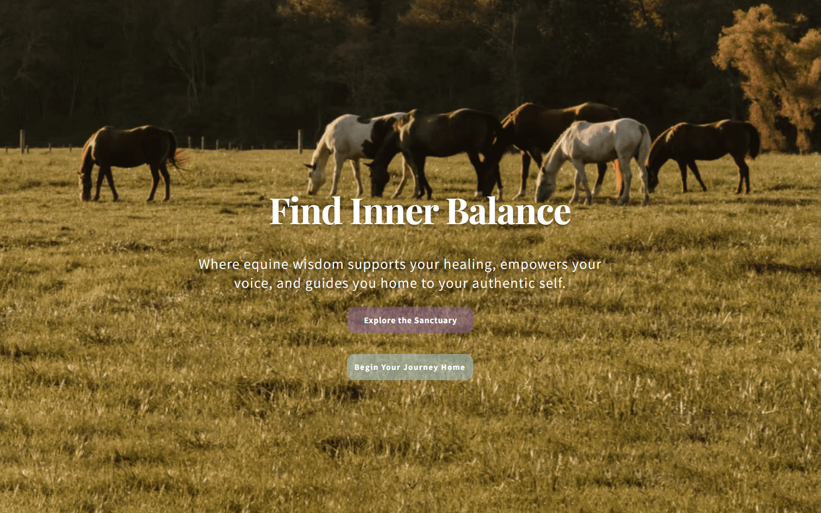 Blissful Existence Healing Acres