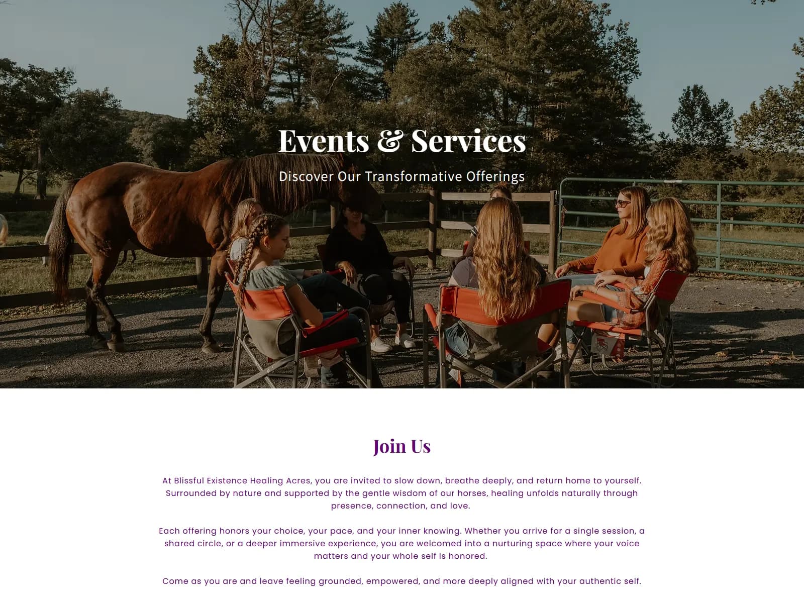 Blissful Existence Healing Acres — website detail 1