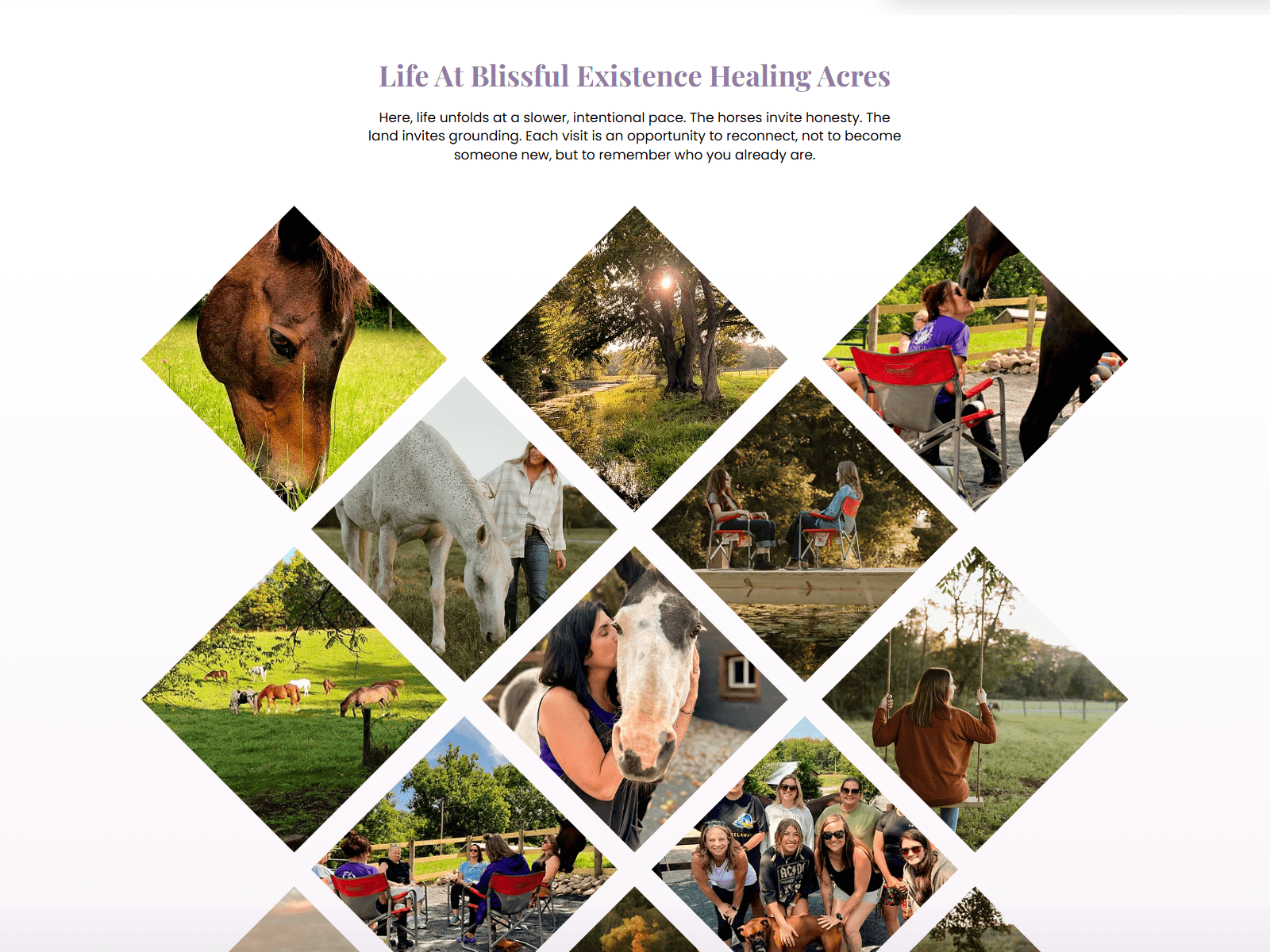 Blissful Existence Healing Acres - Gallery Layout System