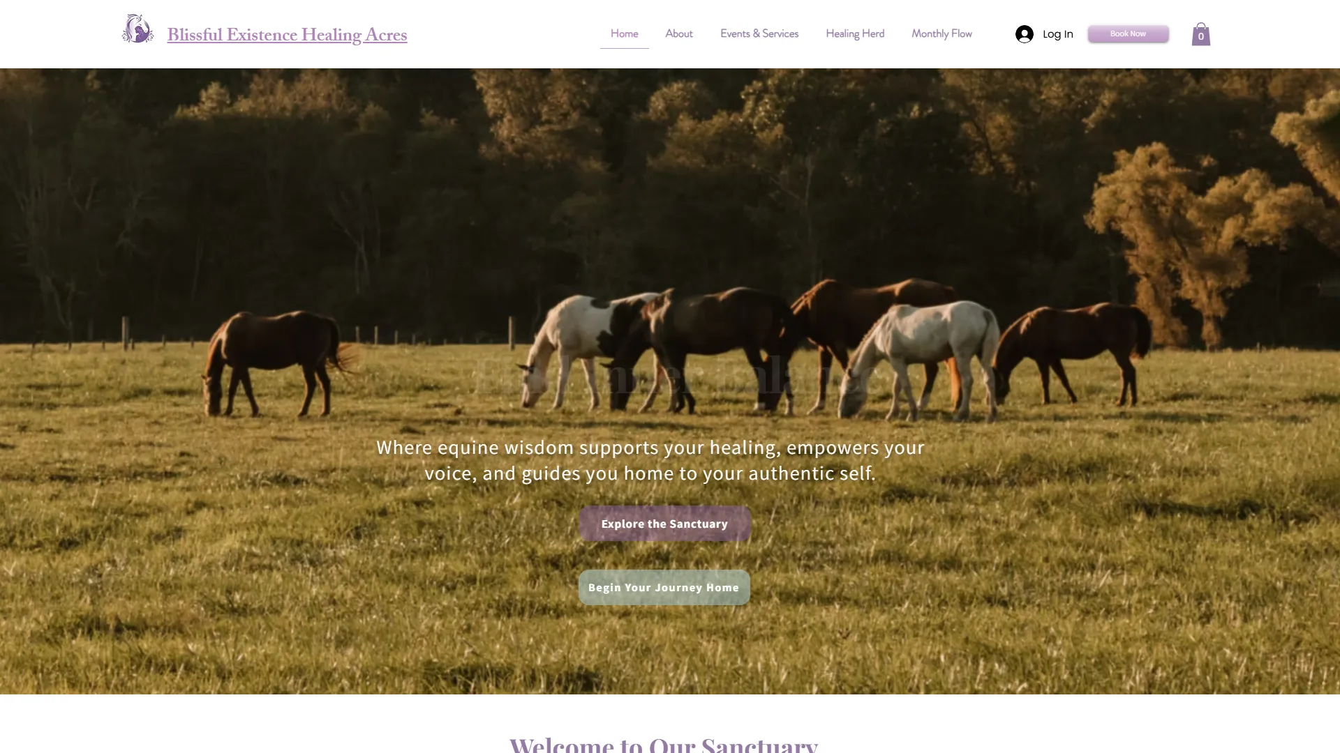 Blissful Existence Healing Acres website design case study hero image